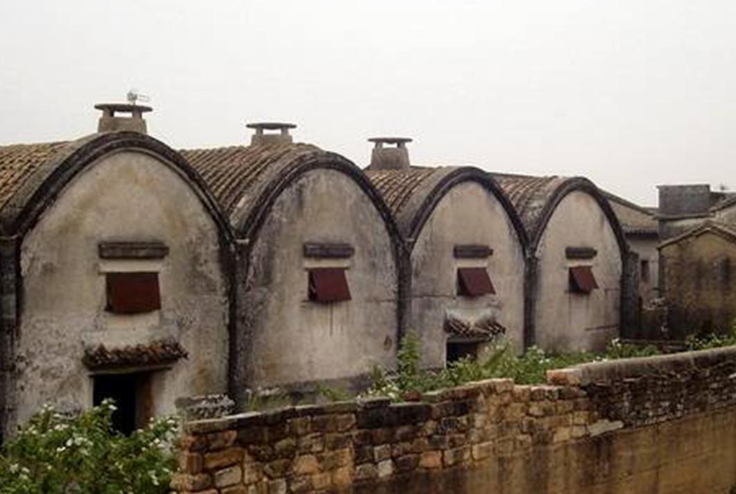 河南农人发现千年粮仓,河南出土千年粮仓