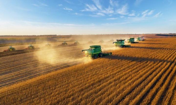 北大荒的兵团现在怎样了,北大荒现在啥样