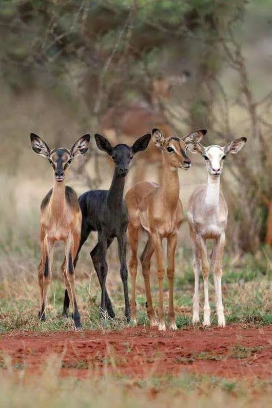 发现被别人偷拍照片,偷拍别人的照片是否违法
