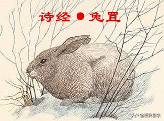 诗经周南兔罝全部的拼音,中国最早诗歌总集诗经