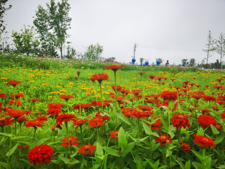 日照最美海边攻略,日照海滩自驾游推荐