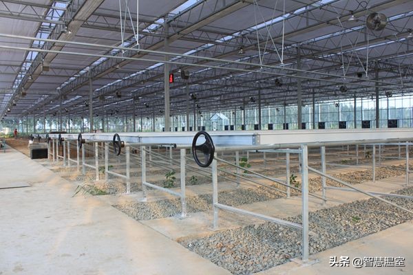 专业的玻璃温室大棚建造,温室大棚生产及设计