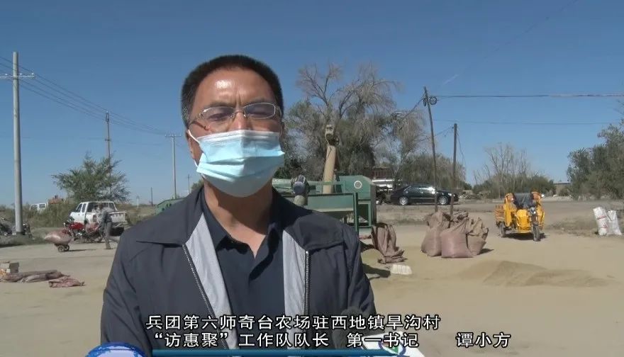 奇台县西地镇旱沟村种植3000亩小茴香喜获丰收