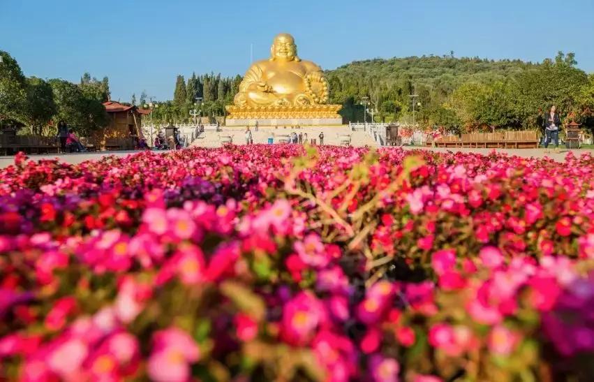 冬季视觉治愈系列!治好你的“冬天不想出门症”~