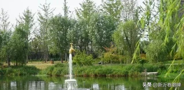 新沂新戴河完成徐州市“生态美丽示范河湖”核验