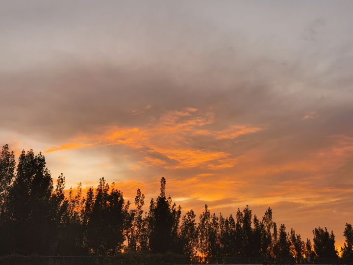 山东省曲阜市齐鲁理工学院,山东八大高校民办