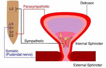 尿尿尿的到处都是?送你一份男生尿尿的最强攻略