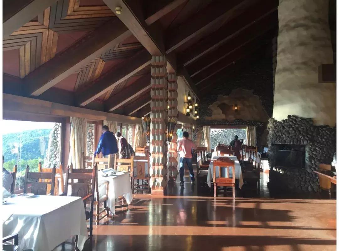 海哥带你游世界｜这周我们去非洲大草原看大西几！