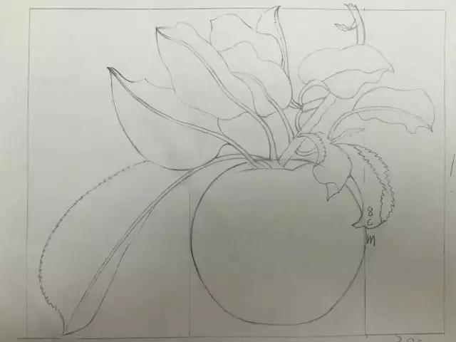 水彩密密麻麻的树叶怎么画,水彩画教程入门叶子