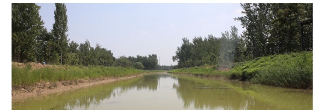 曹县花白鲢,曹县秦淮河