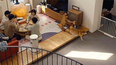 花三个小时做500根串串,3小时做500个串串