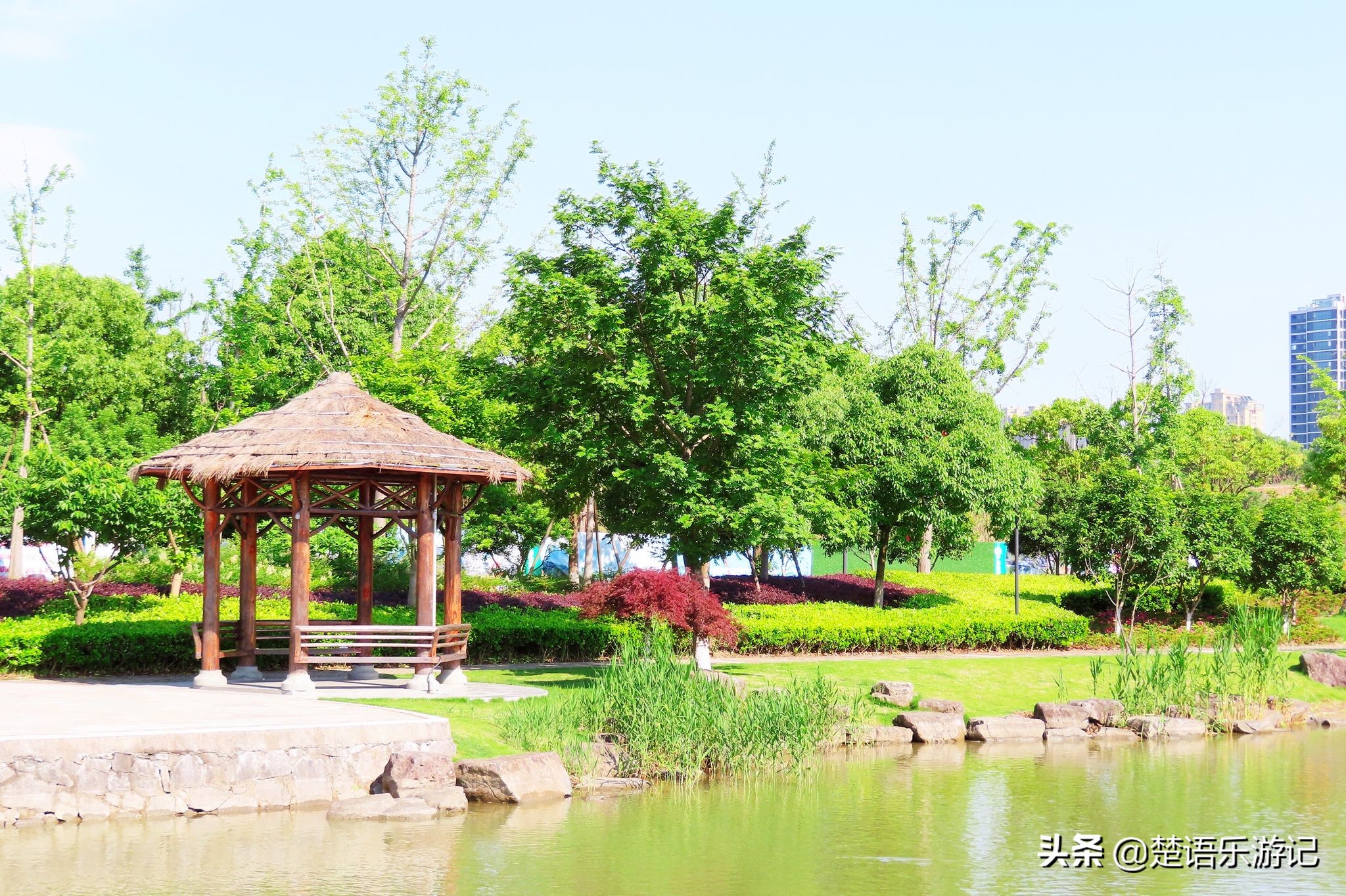 宁波奉化最好的公园,宁波奉化旅游景点推荐森林公园