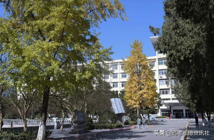 为了211去贵州大学值吗？贵州大学是政策性211吗？