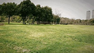 无锡遛娃户外免费,无锡惠山区遛娃好去处