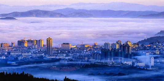 云南勐海普洱茶文化,问茶云南普洱茶