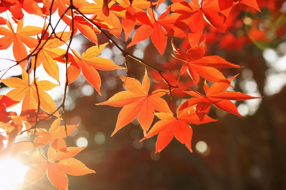 浮躁静不下心来如何自我调整,孩子学习浮躁怎么调整