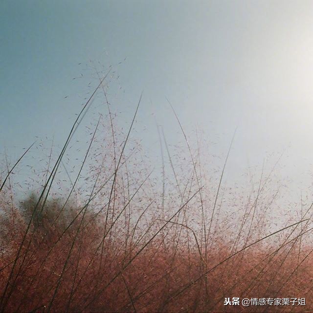 栗子姐情感专家咨询热线,情感咨询栗子每日问答