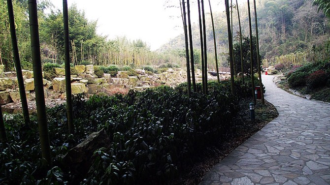 南京竹海宜兴竹海,宜兴华东第一竹海