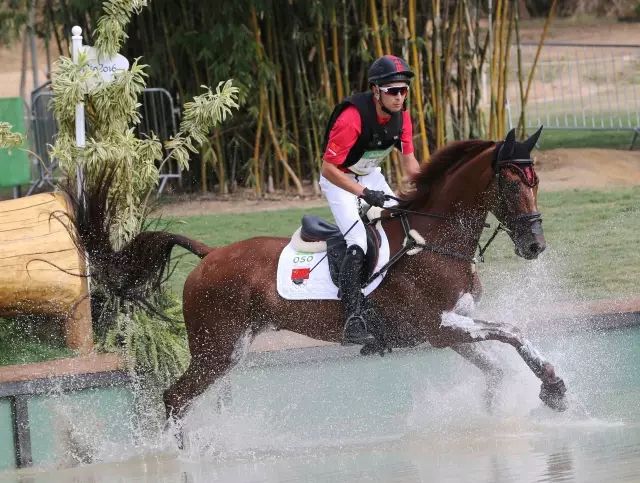 十四运马术室内场馆面积,十四运马术场馆