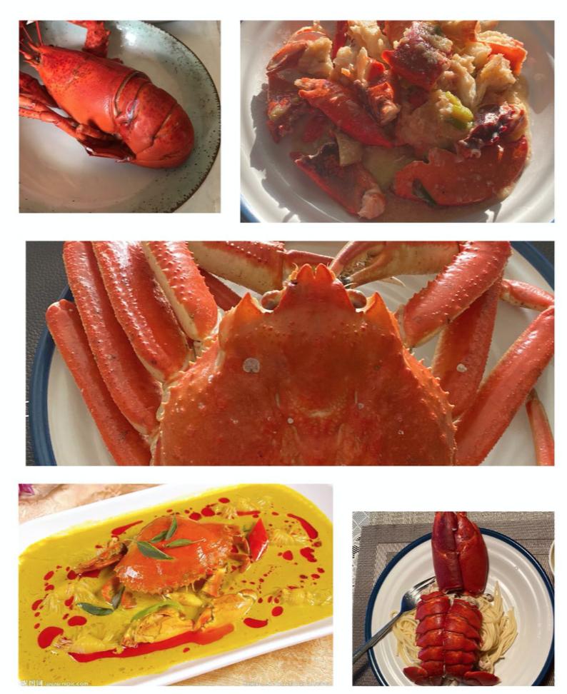 疫情肆虐下的加拿大，顽强、鲜活的小城春天