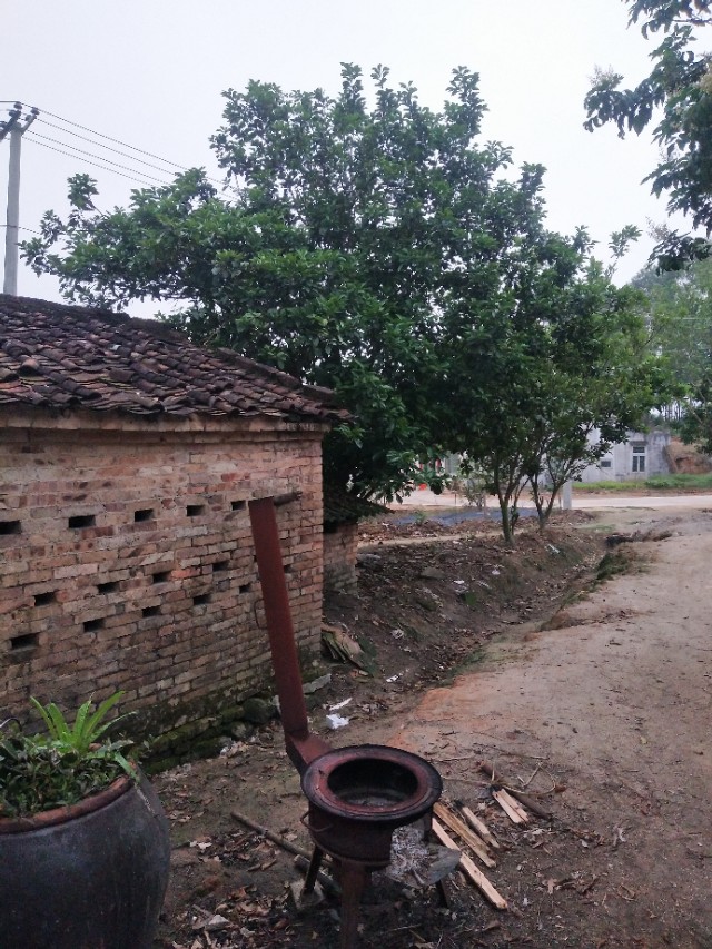 最近农村水泥路修的怎么样了,农村通水泥路