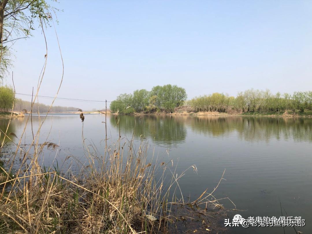 首试老鬼狂拉系列新品，作钓两小时狂口不断，势不可挡