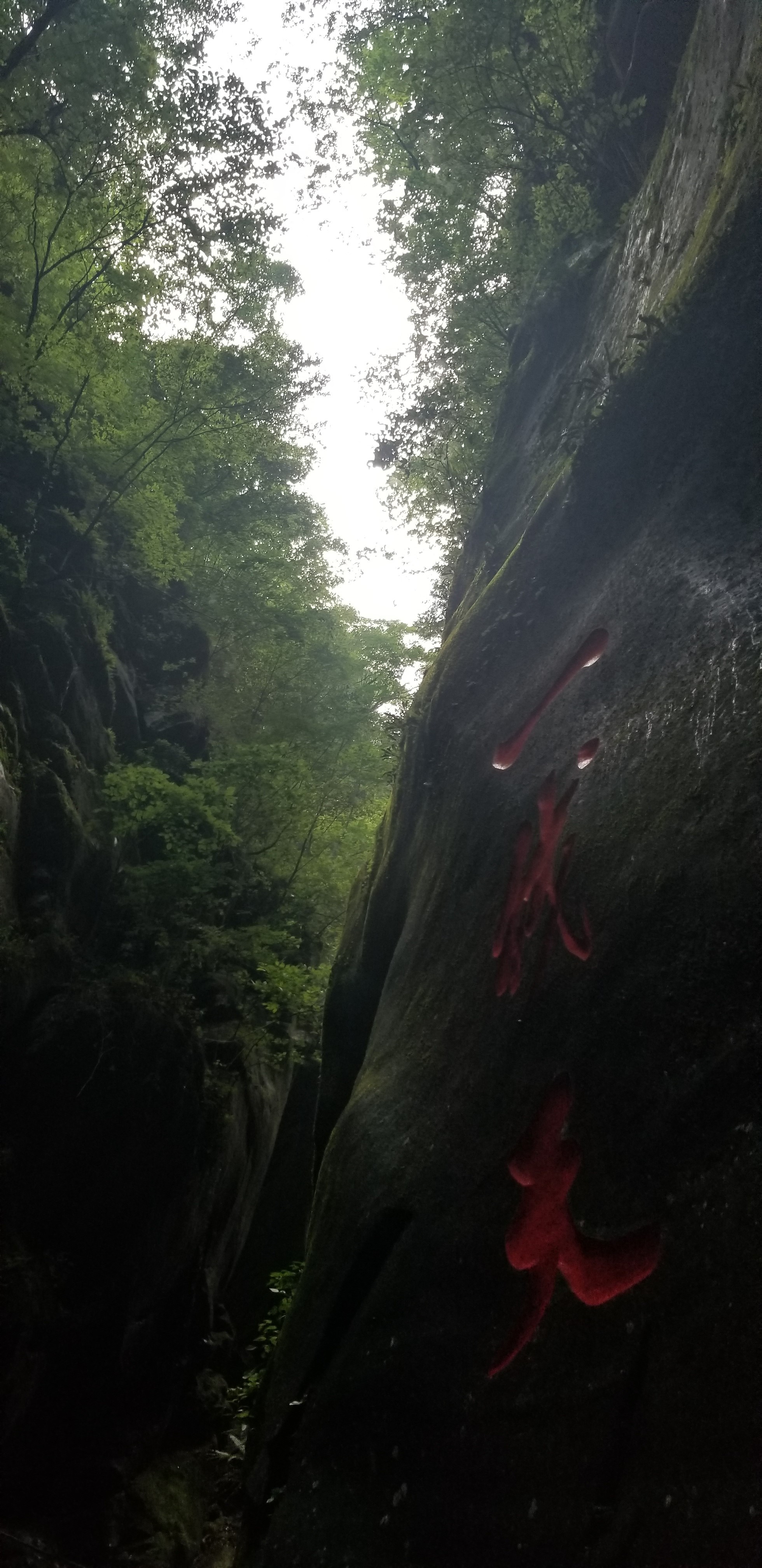 摩旅秦岭分水岭攻略,摩旅黑河森林公园