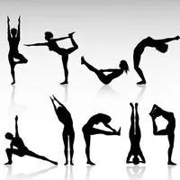 瑜伽常识你了解多少,瑜伽必学