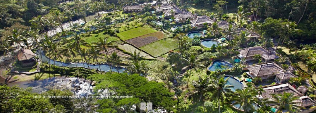 亲测巴厘岛|是时候聊聊它的正面目