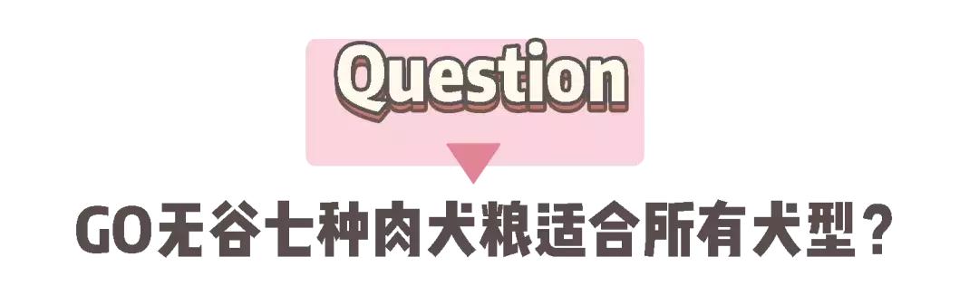now和go区别,now和go猫粮哪个更好