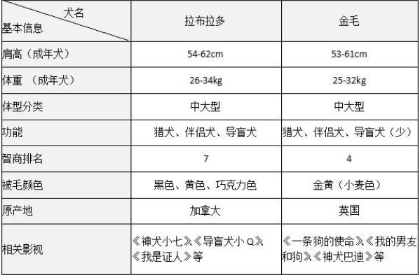 柴犬柯基傻傻分不清,柴犬分辨得出坏人吗