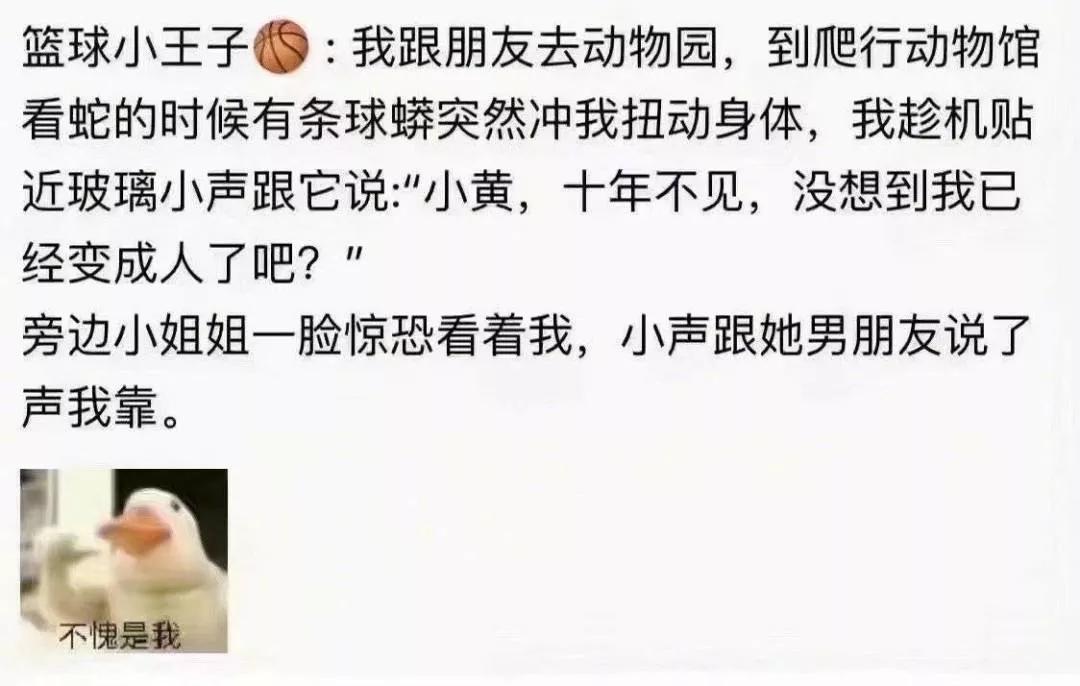 七匹狼搞笑视频,搞笑七匹狼皮带