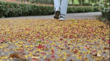 房价8万，逆袭张江？上海外环的唐镇能如愿逆袭吗？