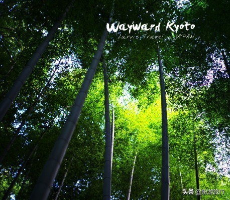 散步关西の日本深度自由行大阪都门奈良城崎、白滨温泉(上篇)