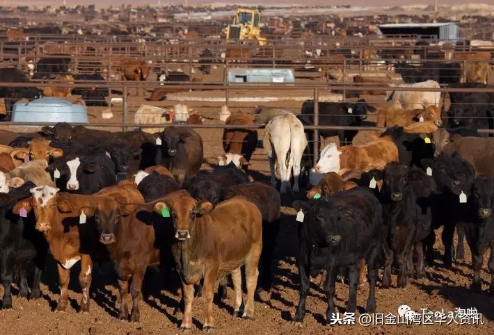 costco的补剂,costco取消6种食物