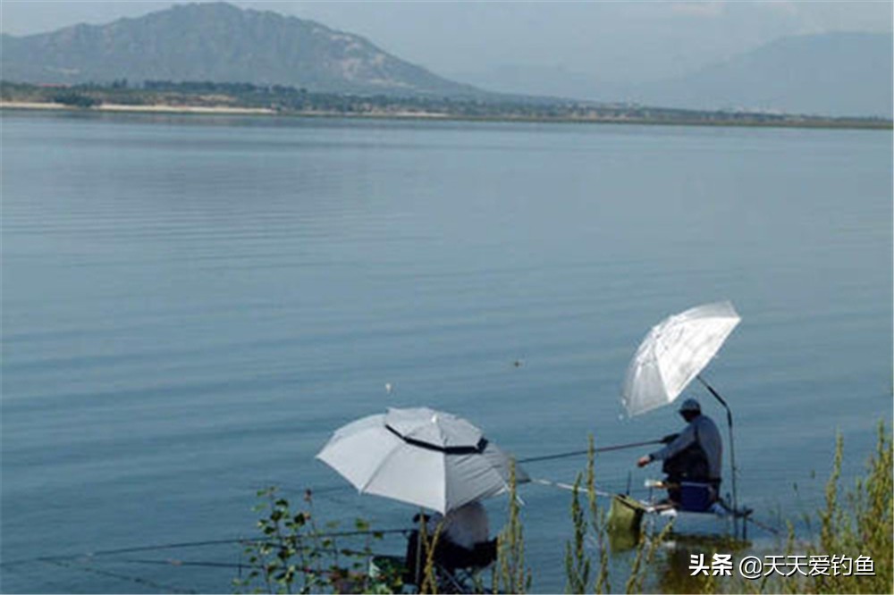 怎么防止小鱼闹窝最有效,小鱼闹窝还钓不到