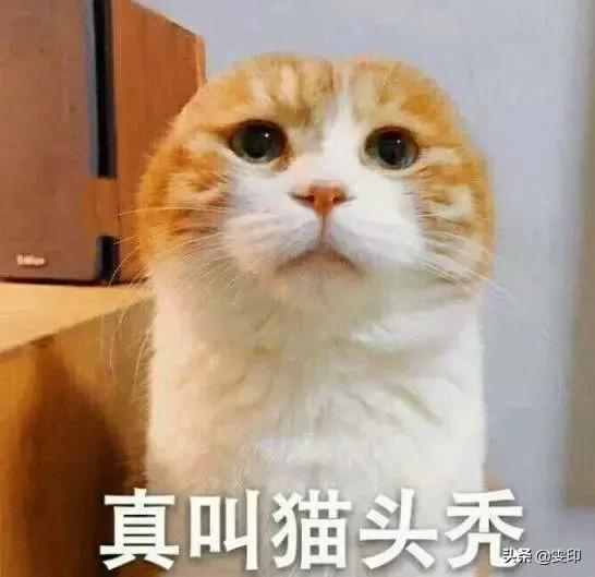 让人反感的打招呼方式,新型打招呼方法