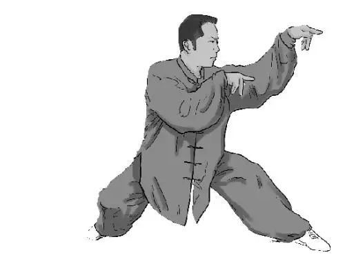 螳螂功有多厉害,中国最厉害的螳螂是