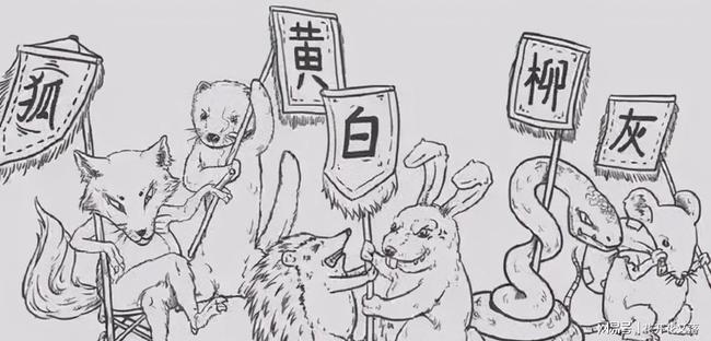 捕杀黄鼠狼被判几年,抓捕15只黄鼠狼是否犯罪