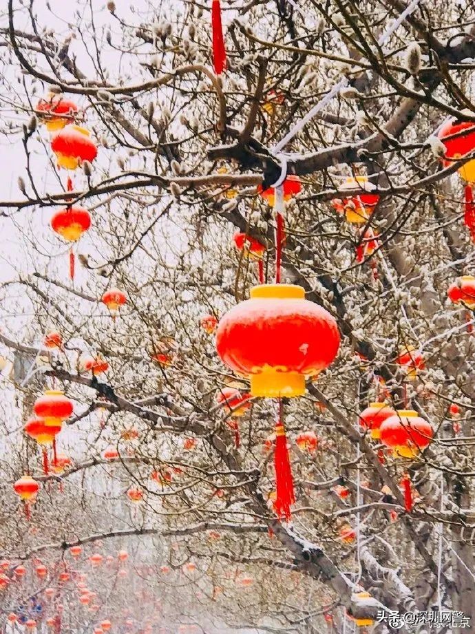 今天深圳的冷空气从哪里来,2022深圳冷空气什么时候来袭