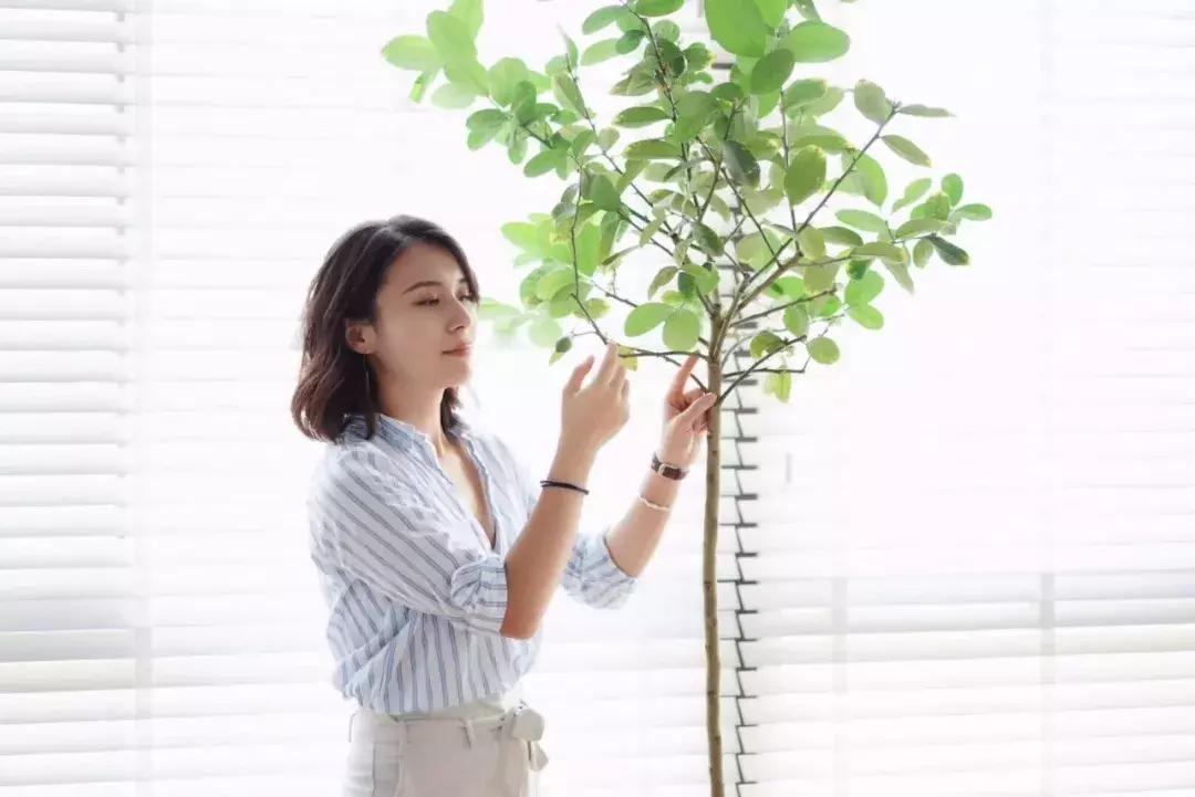 最有质感的家欢迎借鉴,打造浪漫有格调的家