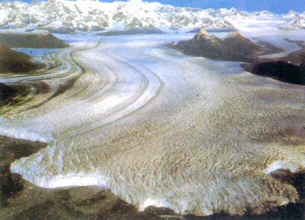 物种起源达尔文,物种起源讲解