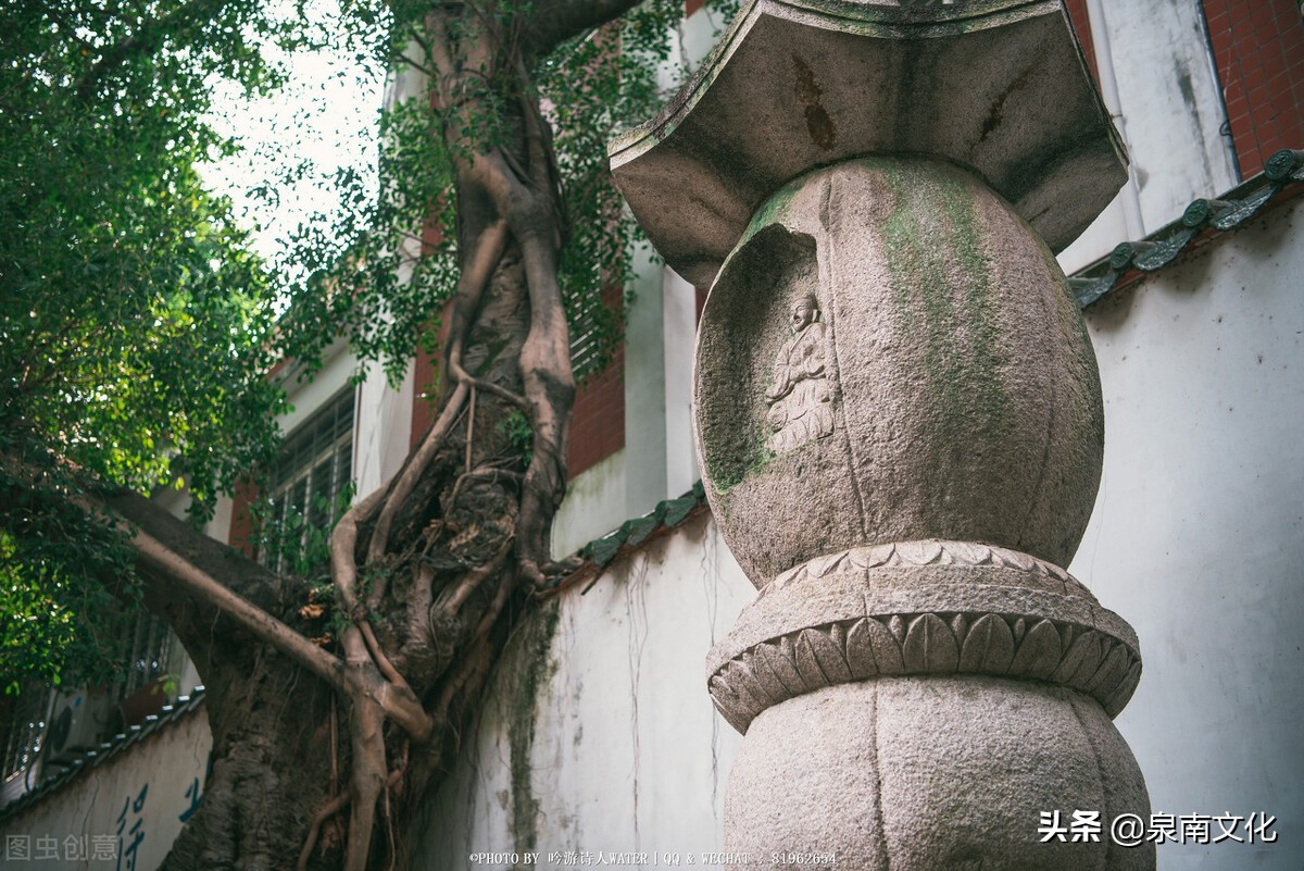 禅茶一味茶韵禅香图片,禅茶一味悟天下一盏清茗酬知音