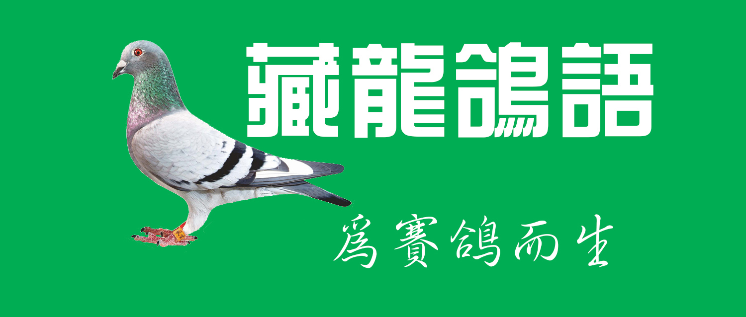 比赛怎么防止受伤,比赛的时候怎么防球