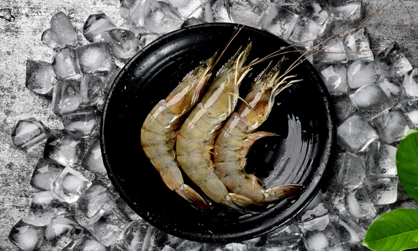 莱阳特产小礼品,莱阳特产专卖店在哪里