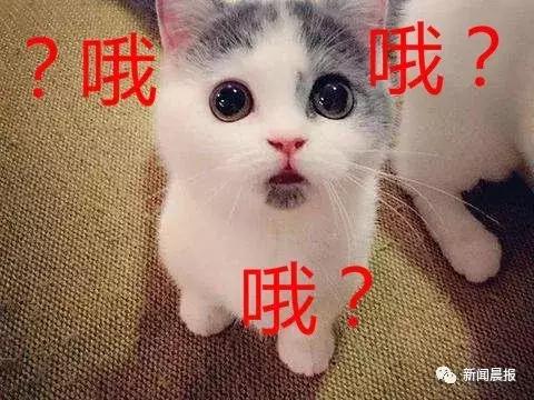 银行女白领忽悠一帮男人打钱 (女白领忽悠一帮男人打钱500万)