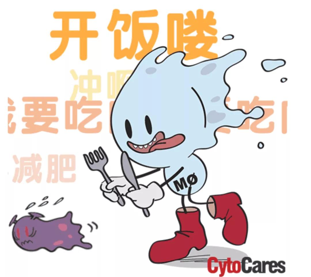 带你了解你的免疫系统（二）-B细胞和抗体介导的免疫应答