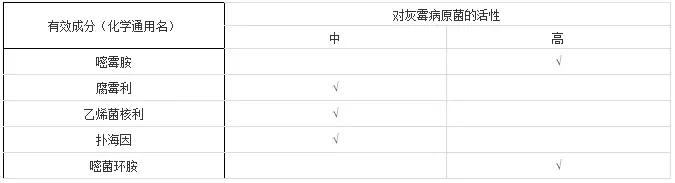 灰霉病的可怕之处——爆发迅速!对付灰霉病有没有好办法