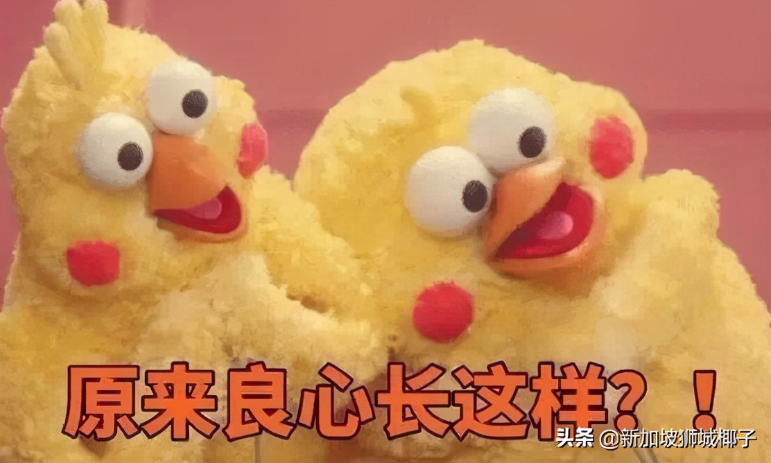 新加坡航空麻将,新加坡航空876