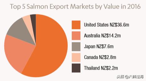 引入活青口贝、鲜帝王鲑,新西兰海产出口商的新生力量!